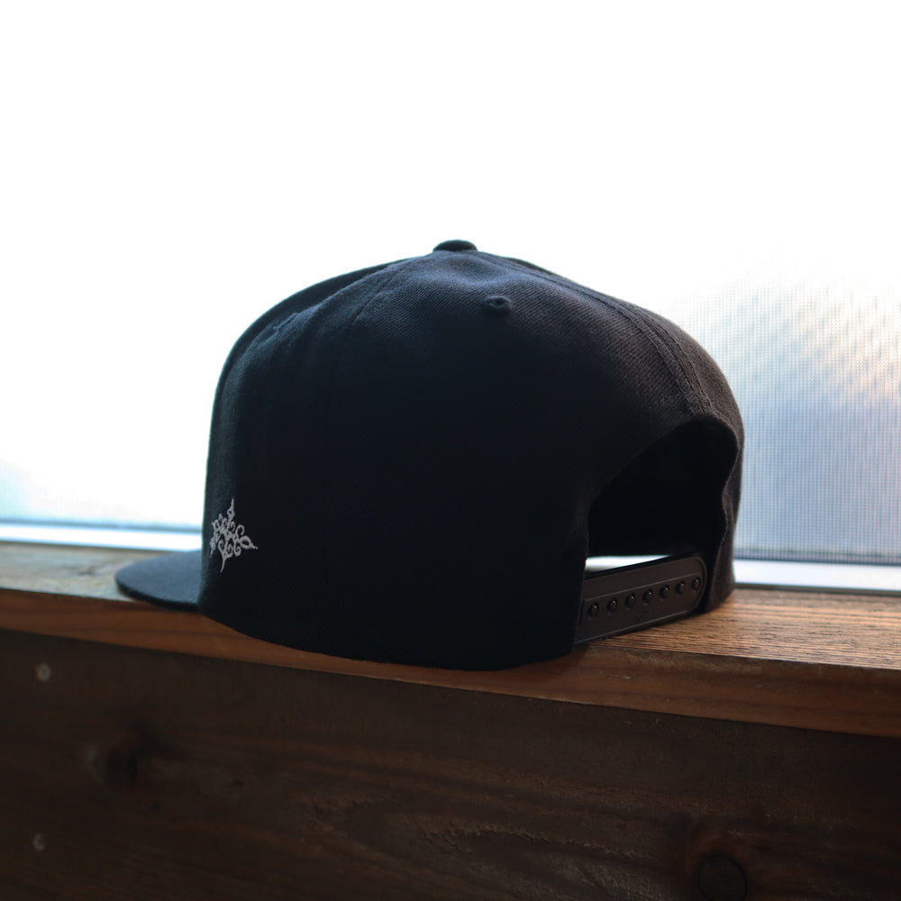 hg_logo_snapback_cap
