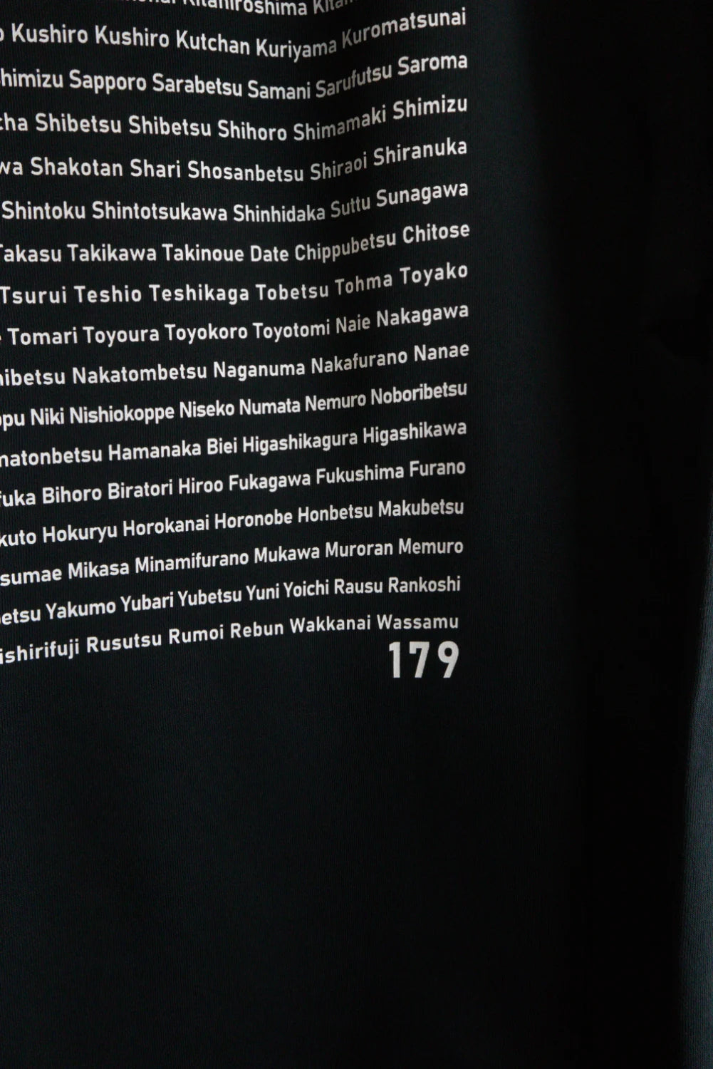 "179" HOKKAIDO HOODIE- Warm 10oz (裏起毛)