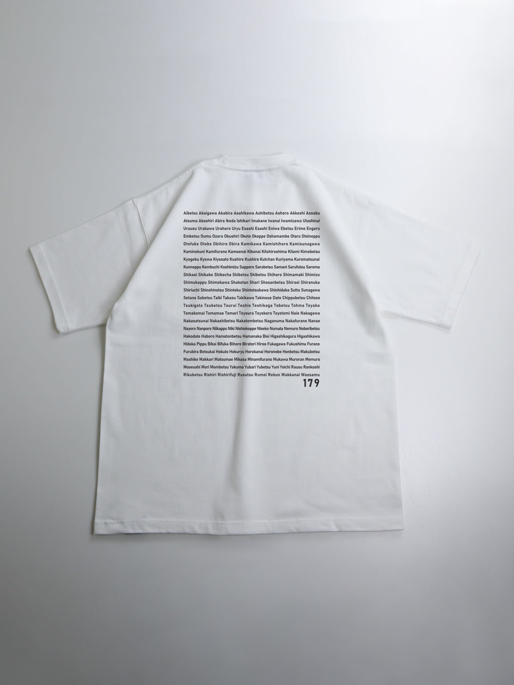 hokkaido-179-big-weight-tee-9-1oz