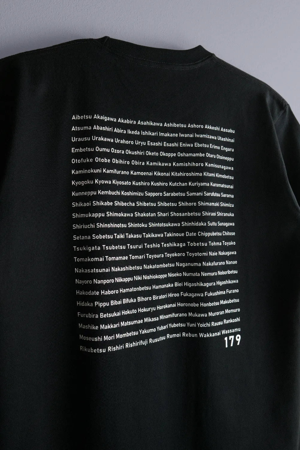"179" HOKKAIDO TEE - Mid 6.2oz
