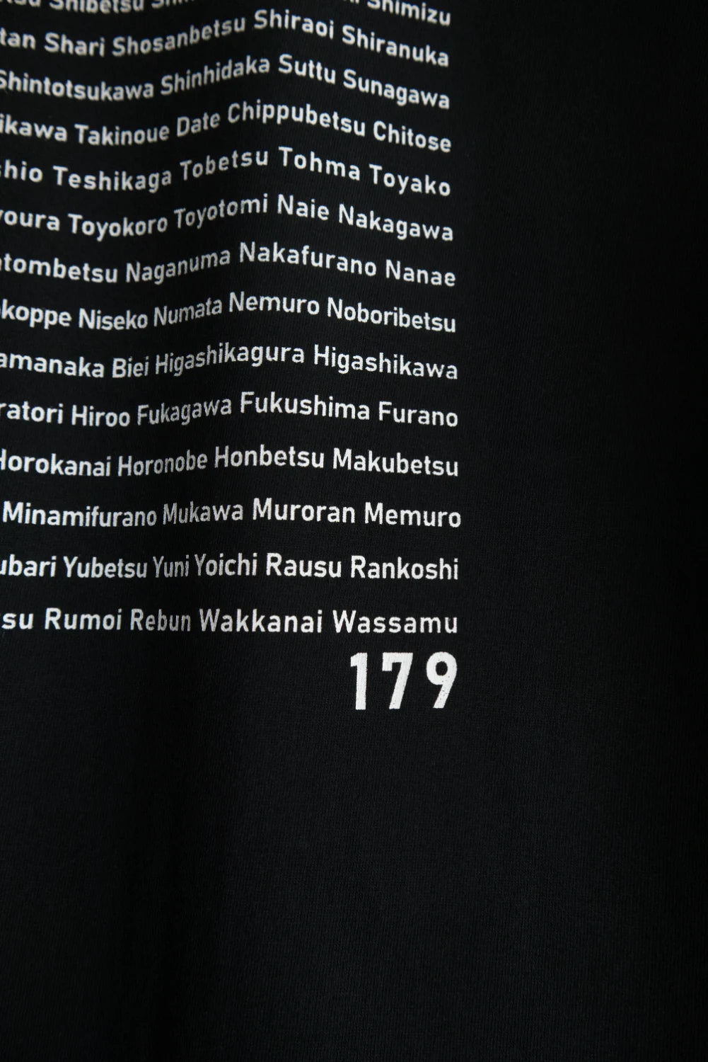 "179" HOKKAIDO TEE - Mid 6.2oz