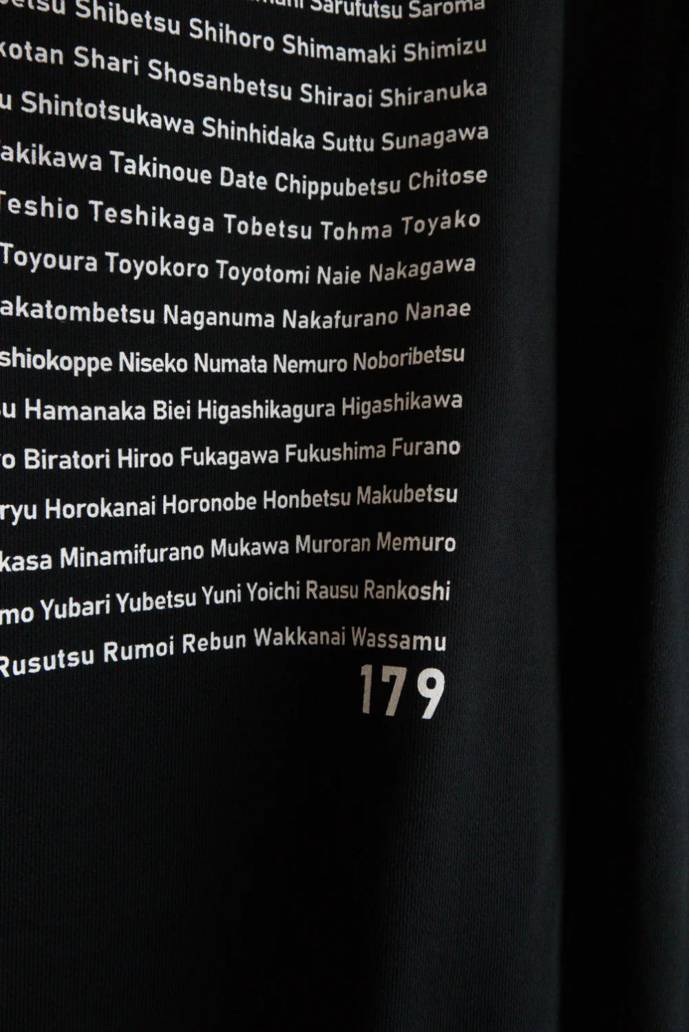 "179" HOKKAIDO HOODIE - Mid 12.7oz