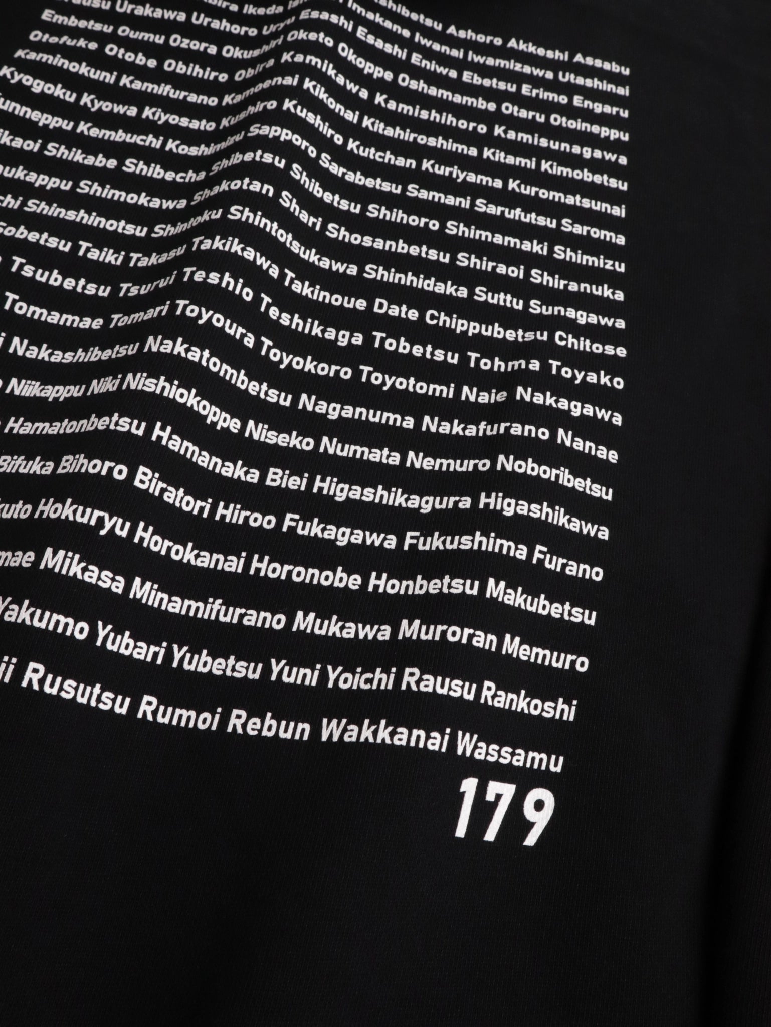 "179" HOKKAIDO HOODIE - Mid 12.7oz