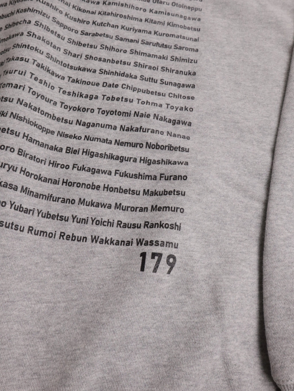 "179" HOKKAIDO HOODIE - Mid 12.7oz