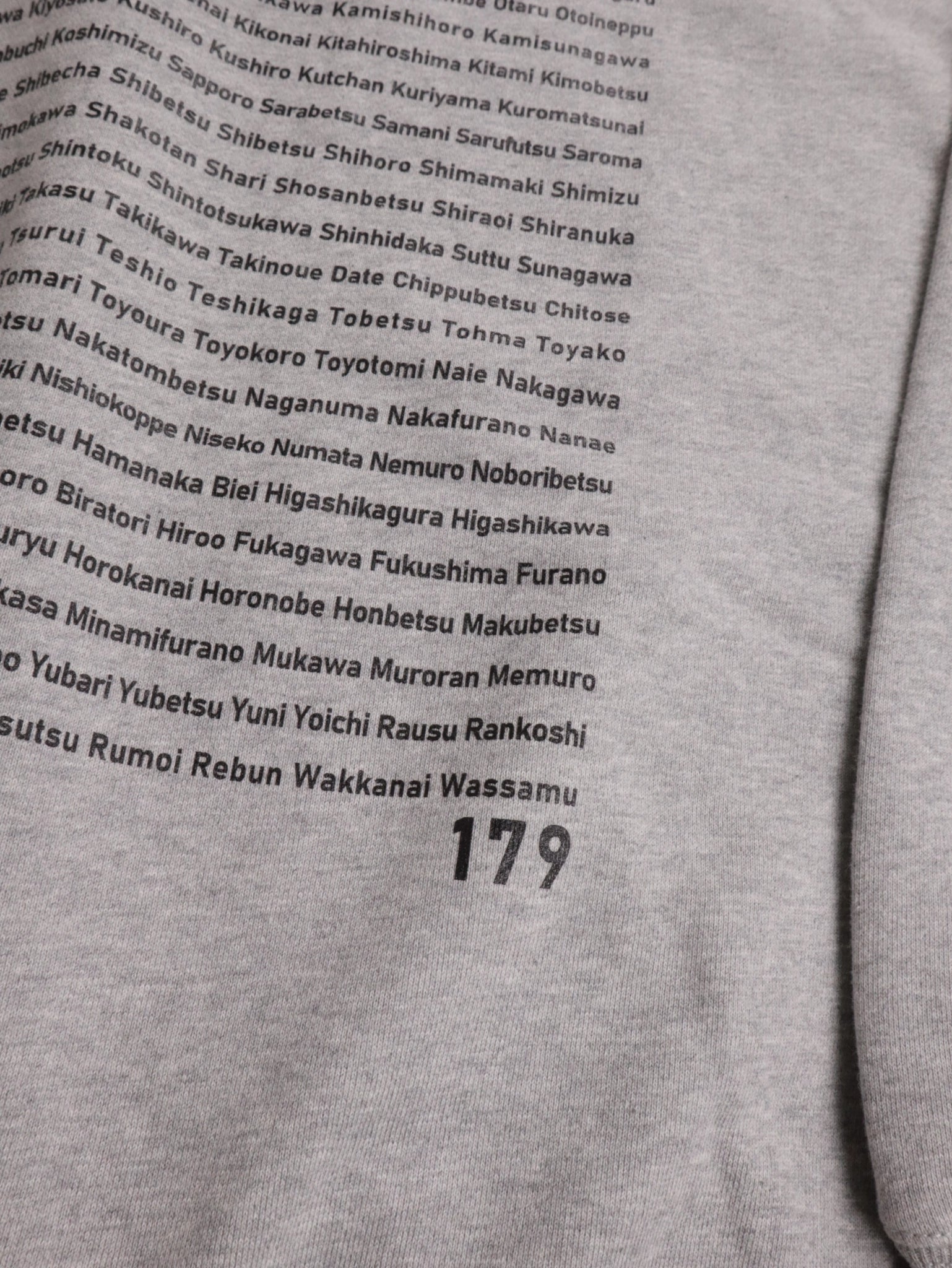 "179" HOKKAIDO HOODIE - Mid 12.7oz