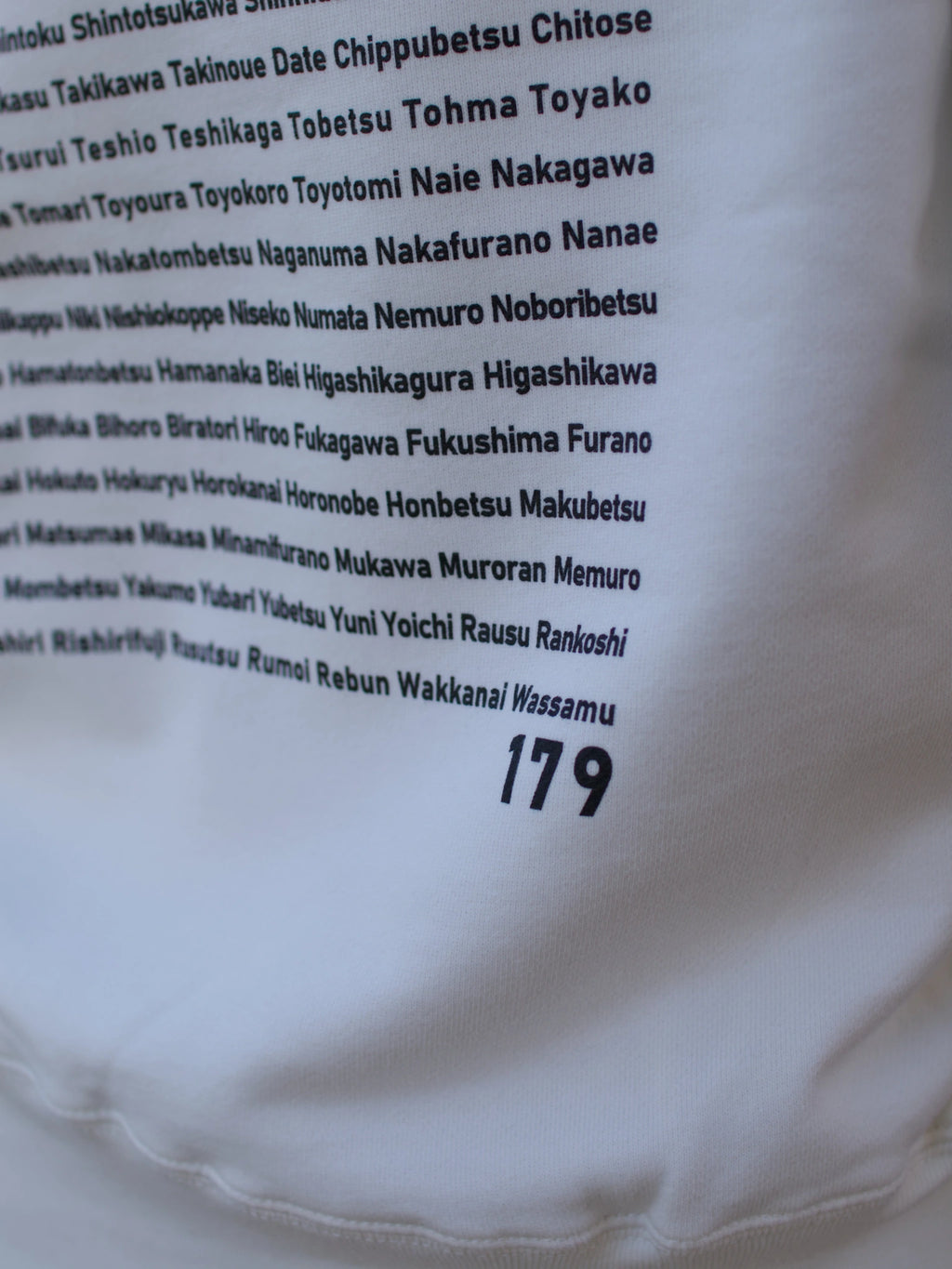 "179" HOKKAIDO HOODIE - Mid 12.7oz