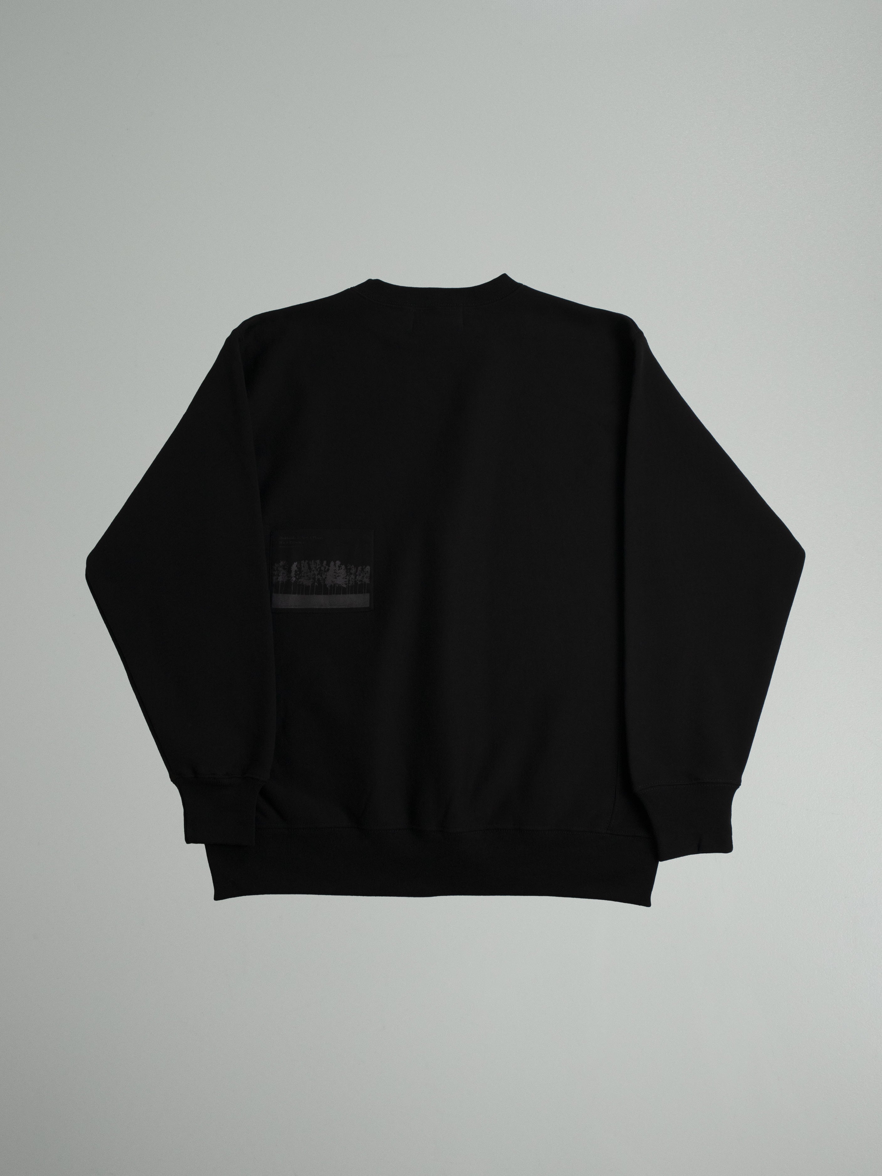 "DEAR PLACE " CREW SWEAT