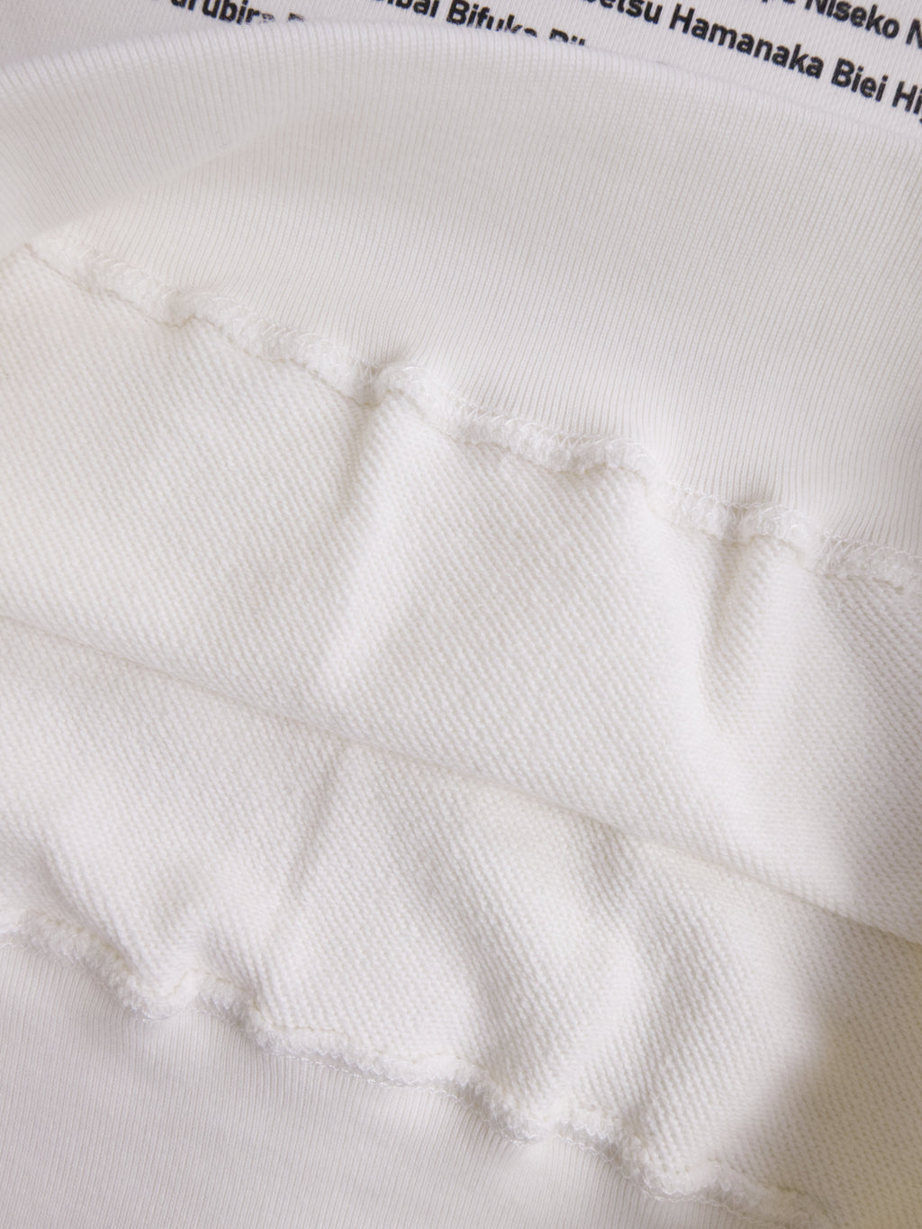 "179" HOKKAIDO HOODIE_裏パイル