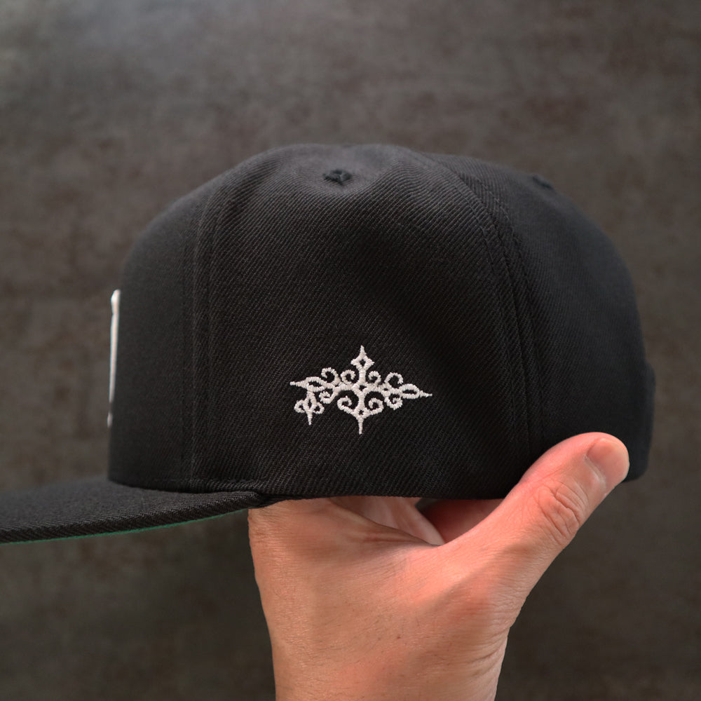 hg-logo-snapback-cap
