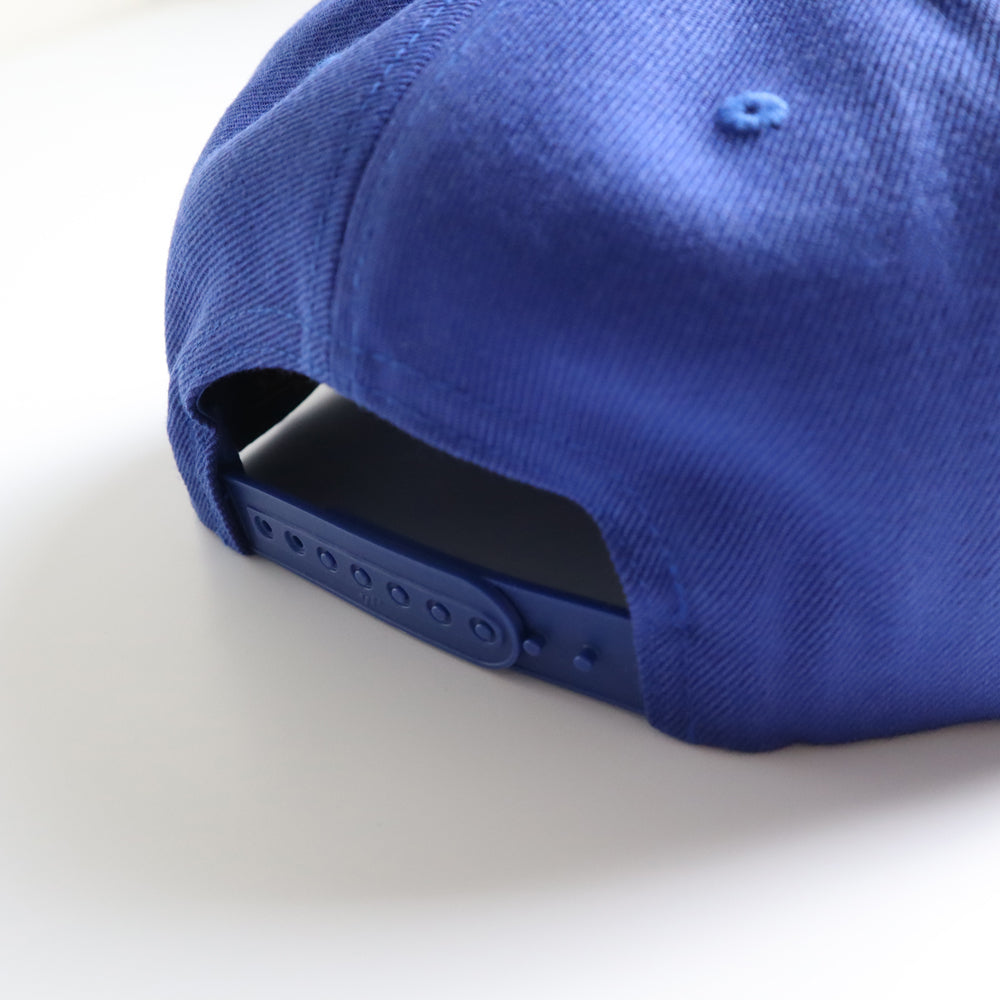 hg-logo-snapback-cap