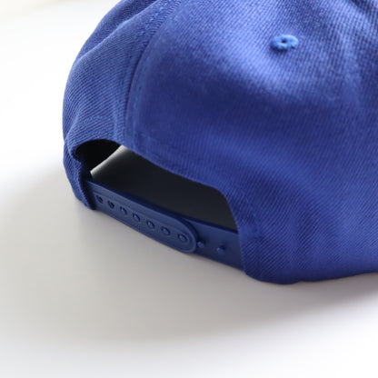 hg-logo-snapback-cap