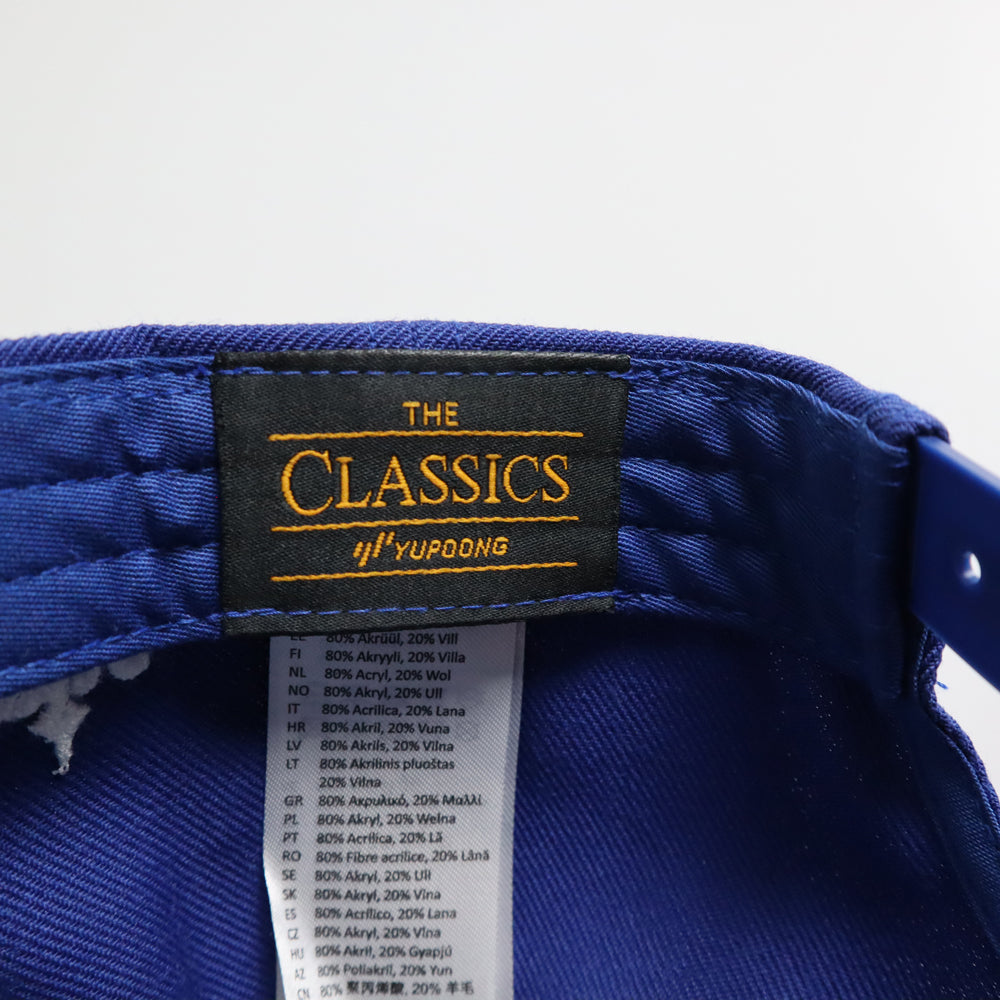 hg-logo-snapback-cap