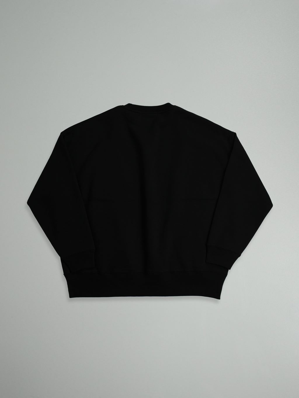 "ICE LIGHT" CREW SWEAT _Big Silhouette