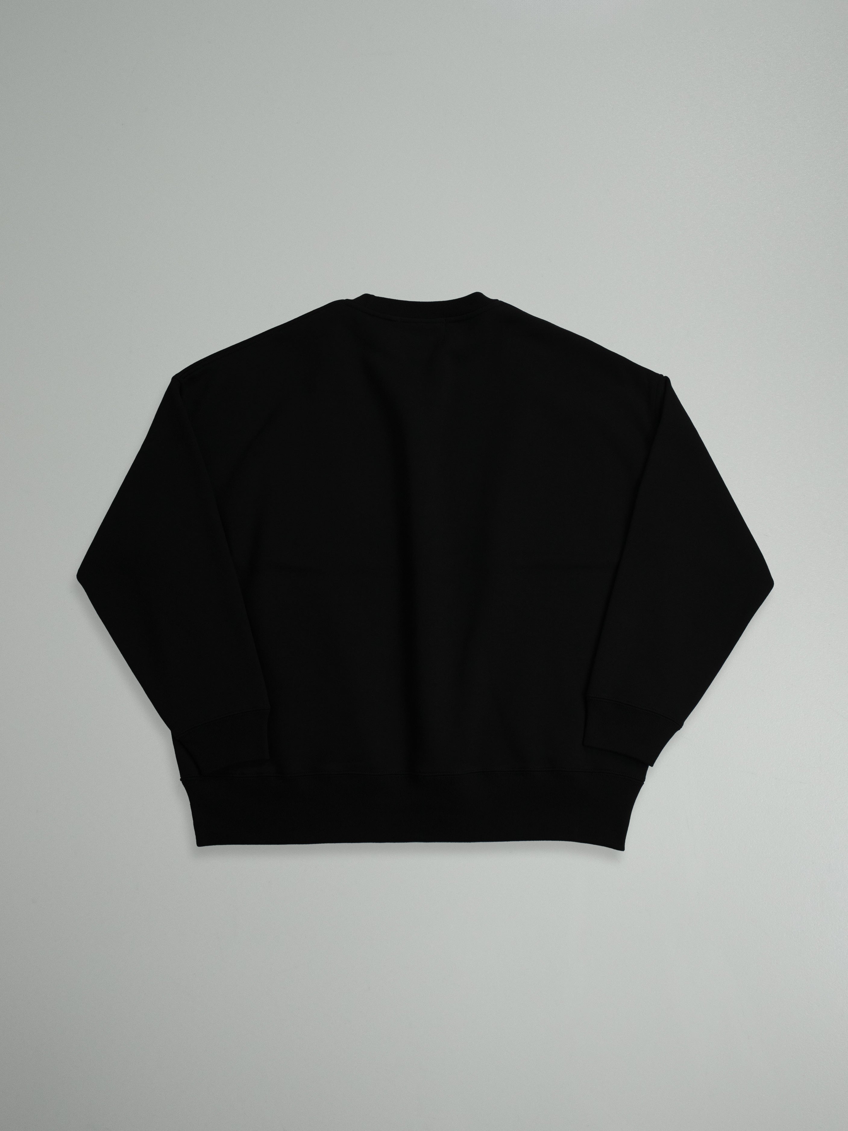 "ICE LIGHT" CREW SWEAT _Big Silhouette
