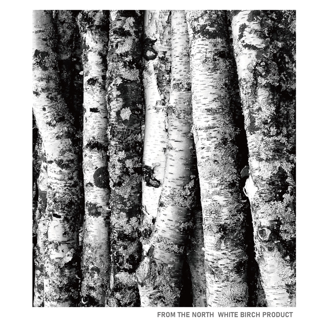 hkdgrp-white-birch-tees
