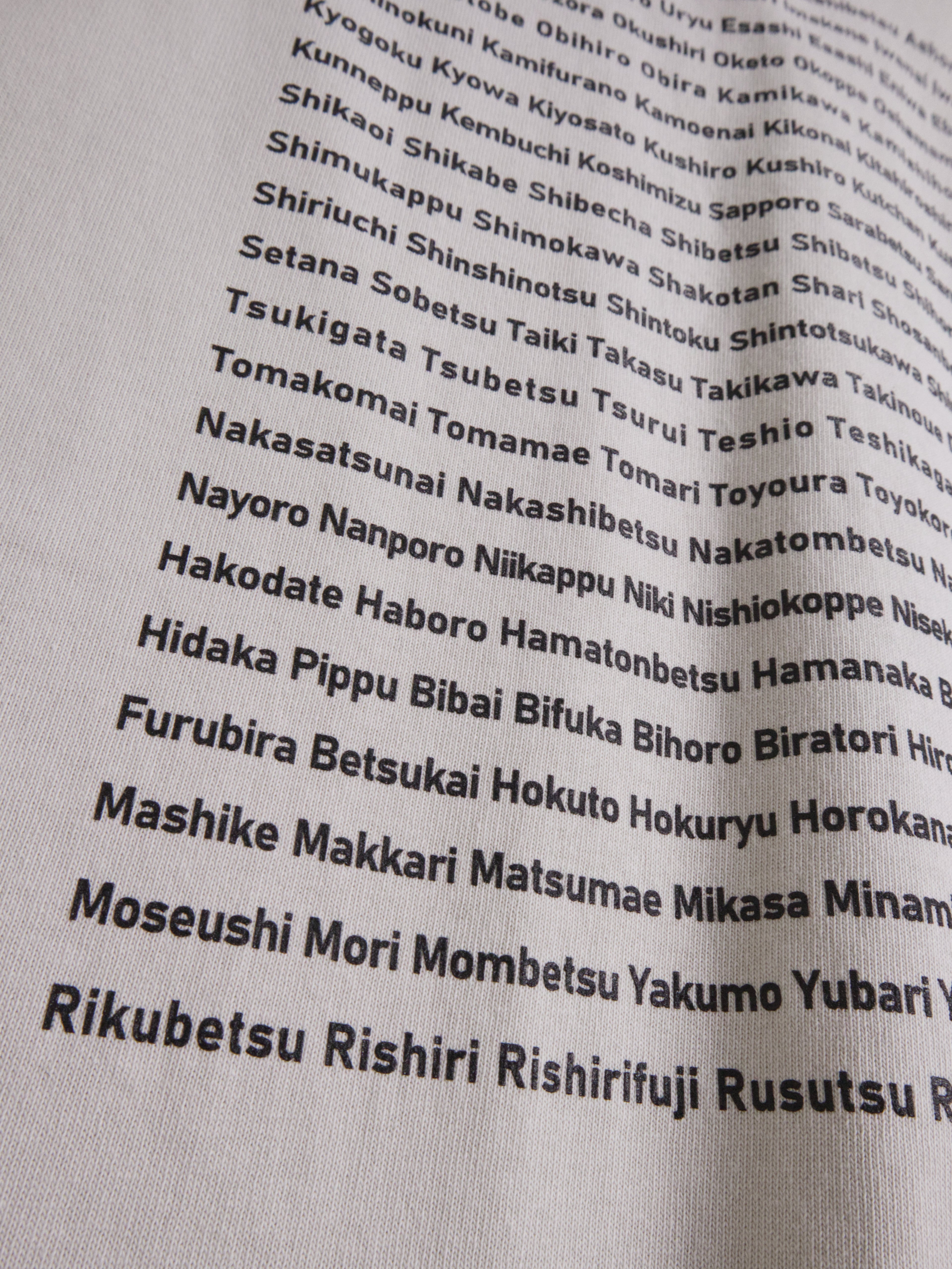 179-hokkaido-long-sleeve-tee-9.1oz