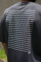 "179" HOKKAIDO DRY TEE - Light 4.1oz