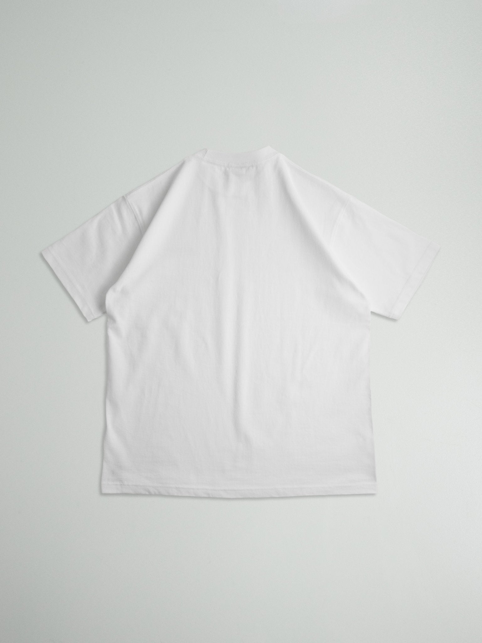 ICE LIGHT Tシャツ ホワイト バックスタイル 平置き