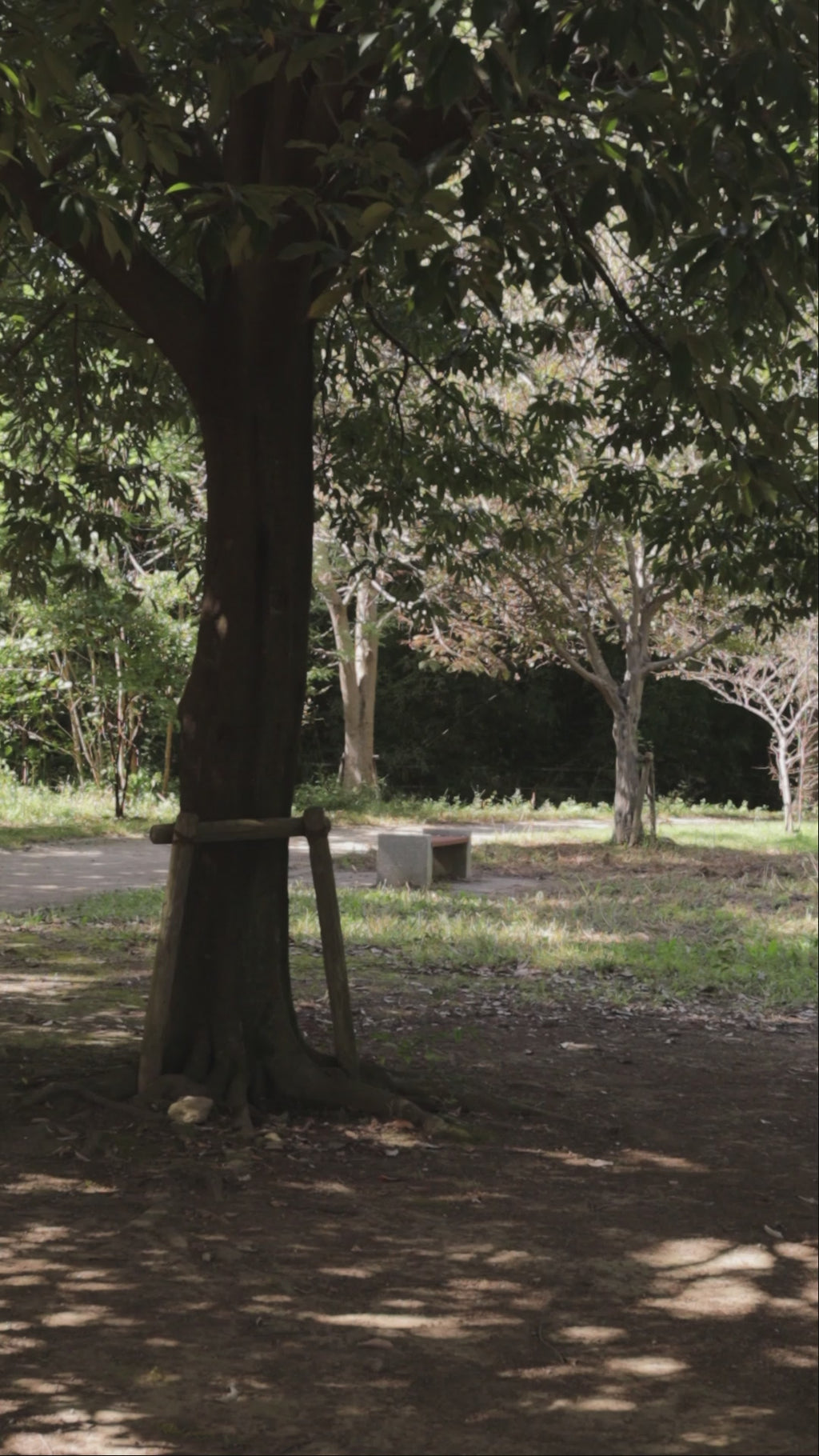 "179" HOKKAIDO CREW SWEAT