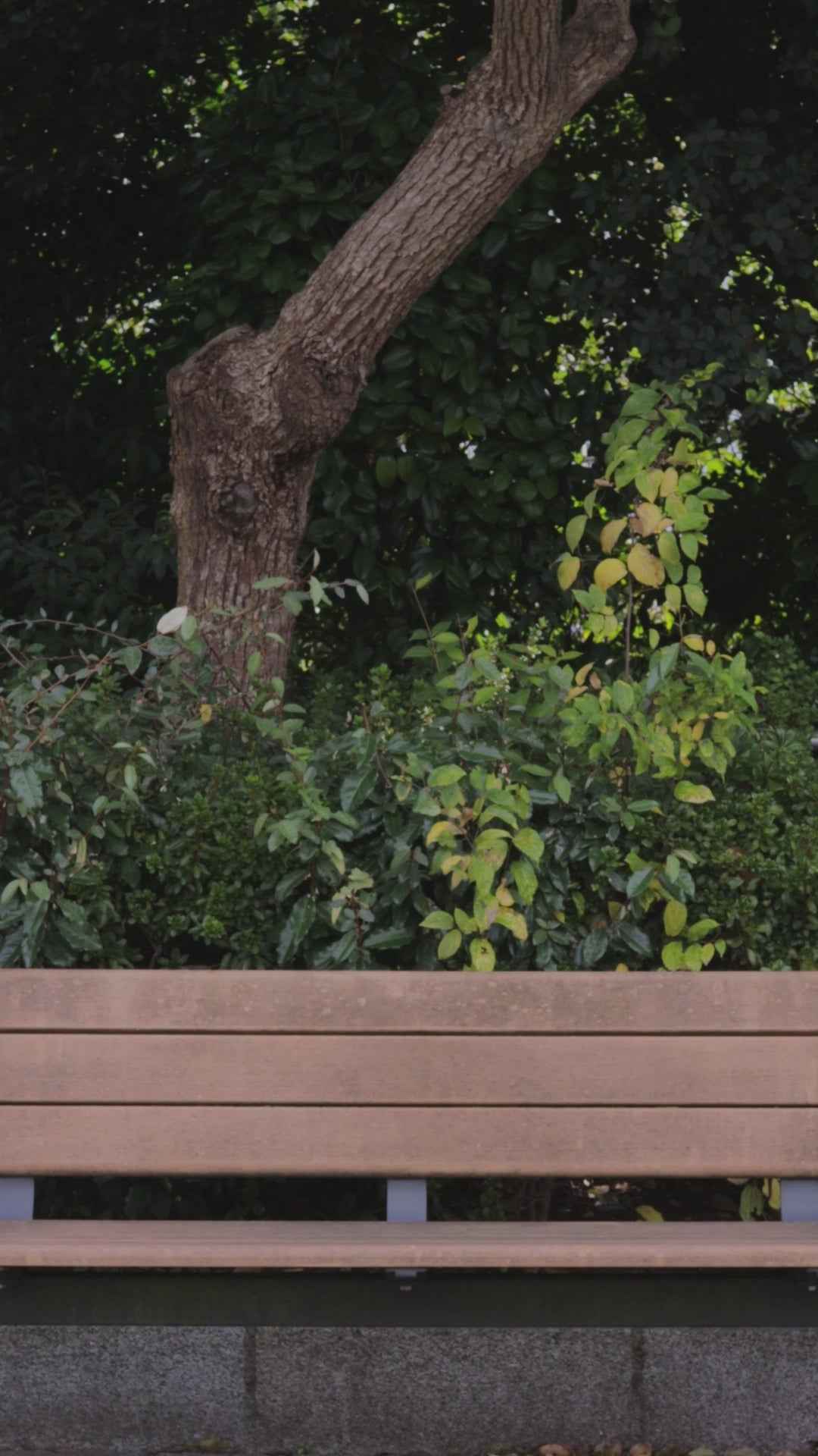 "179" HOKKAIDO HOODIE