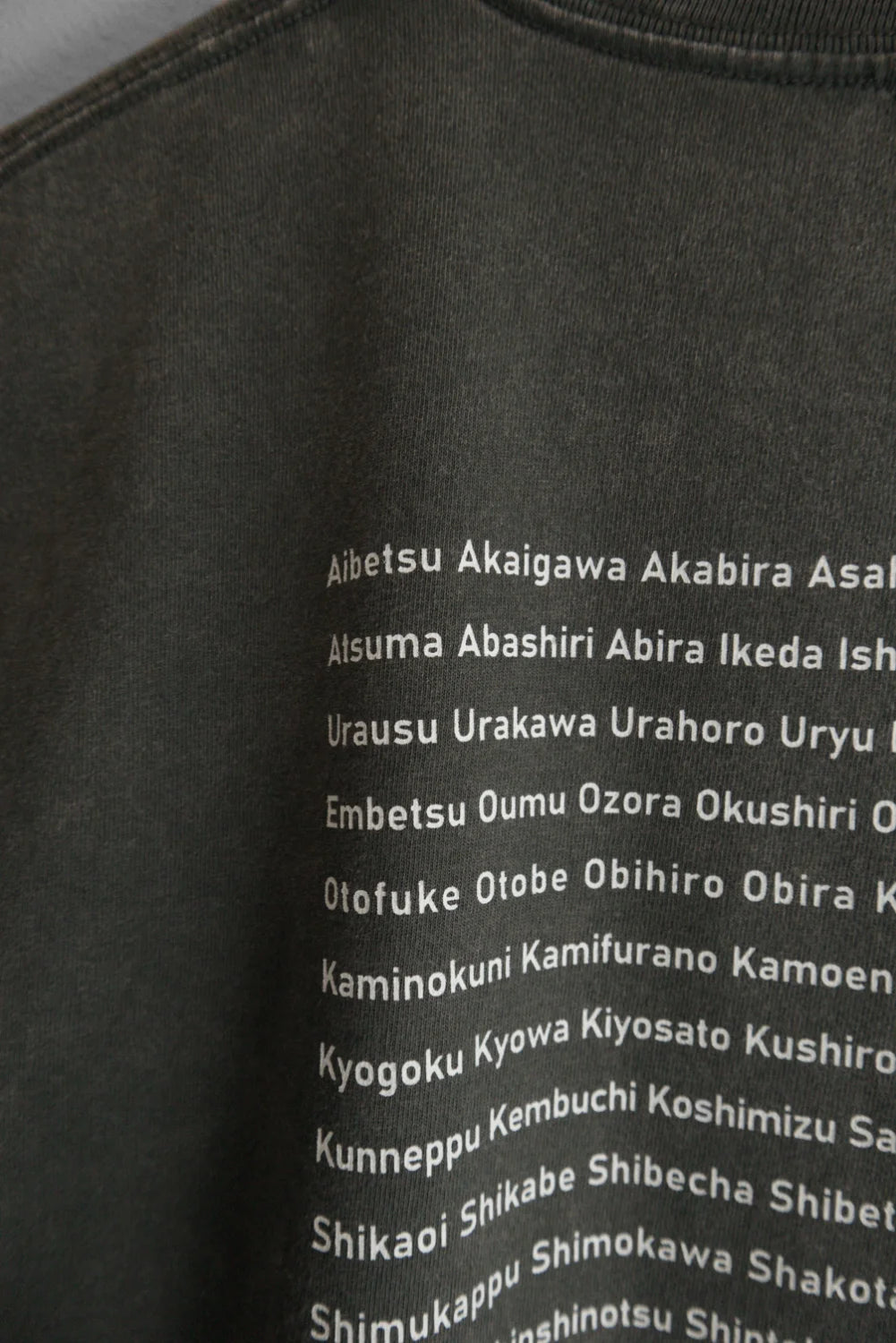 9月限定 "179" HOKKAIDO LONG SLEEVE TEE - Gray Wash
