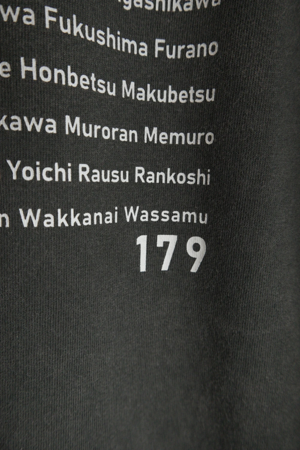 9月限定 "179" HOKKAIDO LONG SLEEVE TEE - Gray Wash